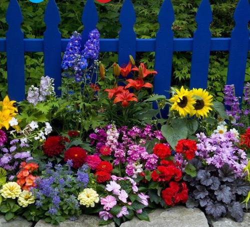 4 Seasons Garden Club