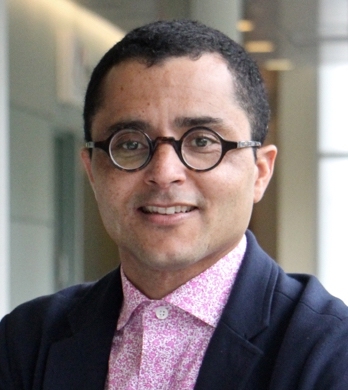 Author Heath Fogg Davis 