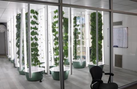 A Kenosha vertical farm. 