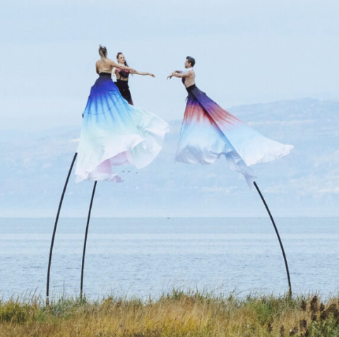 Three dancers on 'sway' poles. 
