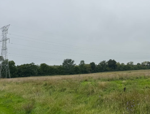 Land purchased by Microsoft in Kenosha for a data center project is seen here on Aug. 26, 2026. Evan Casey/WPR