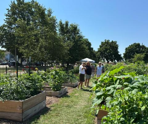 Owen Davies Garden. Credit: Racine Urban Garden Network