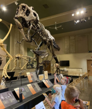 Photo of a dinosaur replica at the Dinosaur Discovery Museum with kids looking on. 