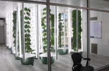 A Kenosha vertical farm. 