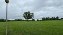 Vacant Giese school site. Credit: Evan Casey from WPR. 