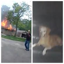 Bodycam footage of a Caledonia House in flames and a stranded dog
