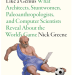 How to Watch Soccer Like a Genius- book cover