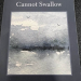 book cover for "What the Current Cannot Swallow" 
